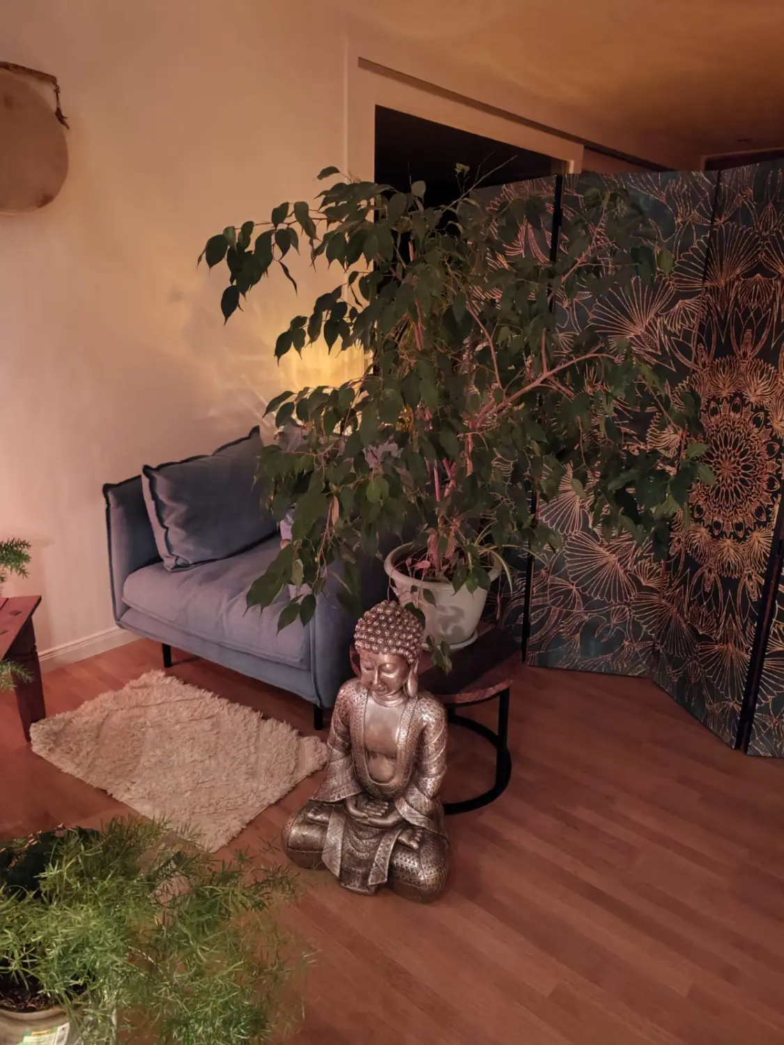 Homöopathie Barkelsby